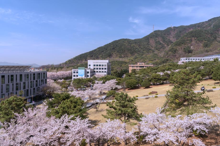 민송도서관