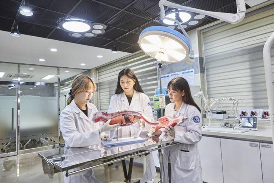 세명대 동물보건학과 동물보건사 양성기관 평가인증 획득